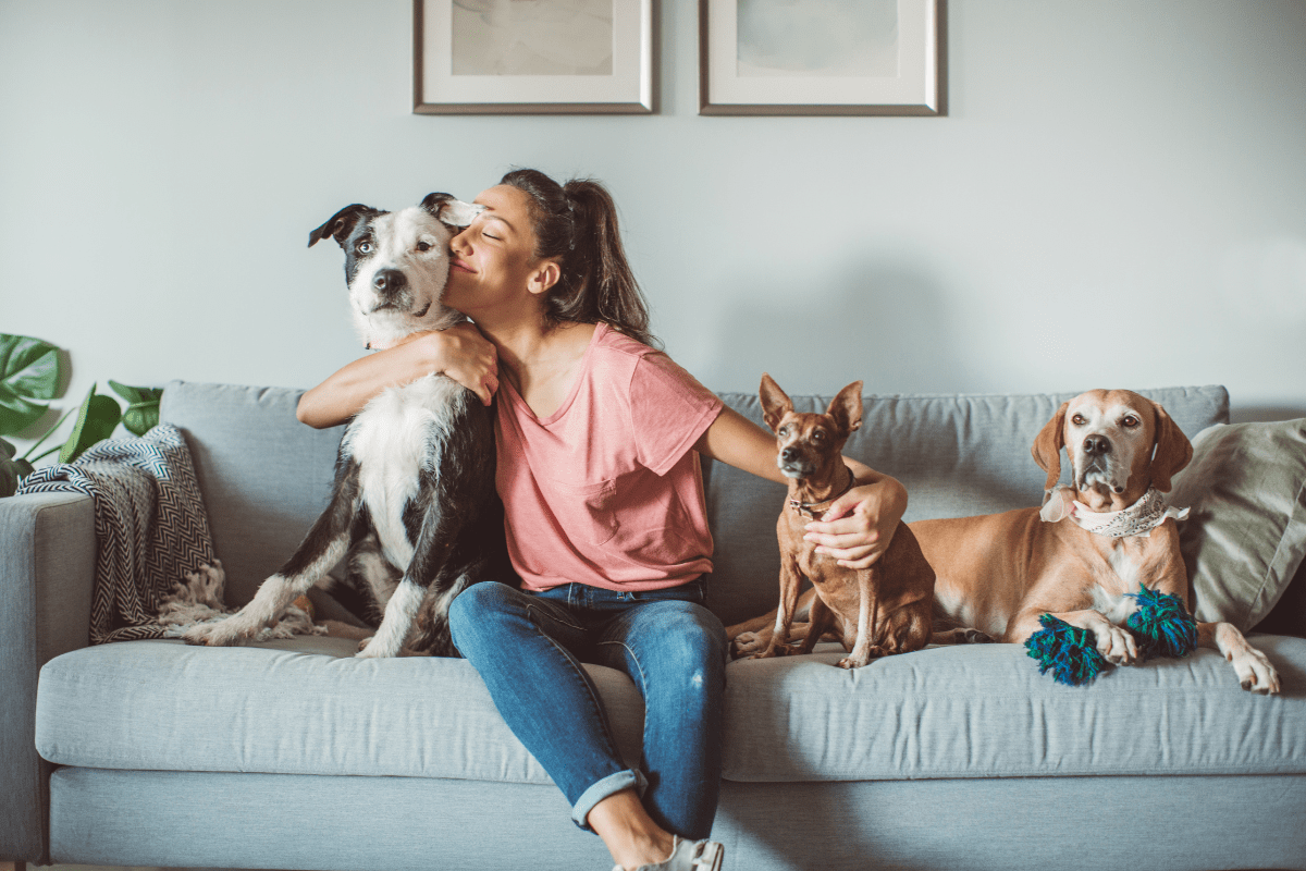 Woman sitting on a couch with three dogs, smiling and cuddling them.