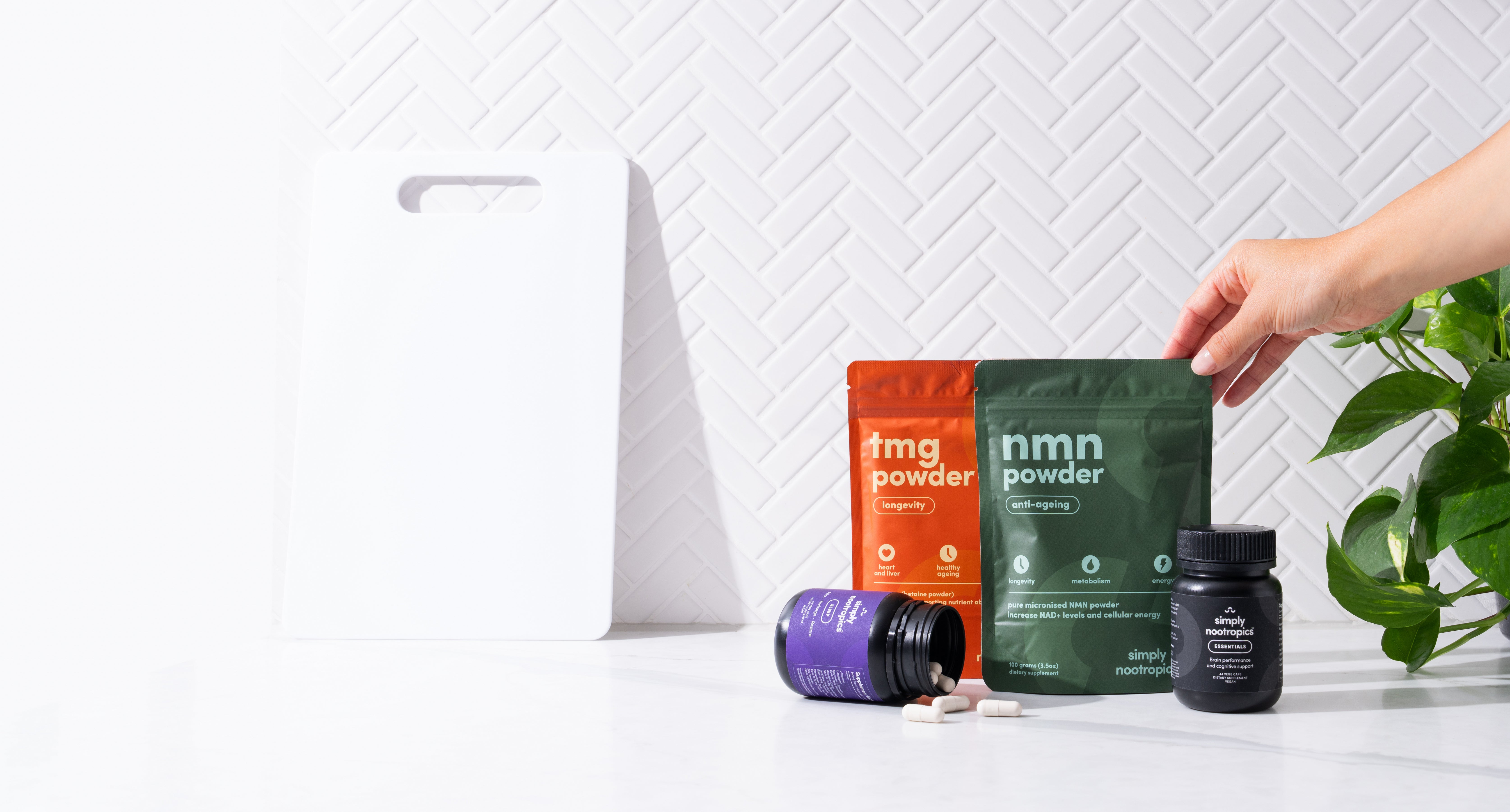 Beautiful view of Nootropic Supplements For Longevity And Relaxation